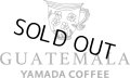 ☆コーヒーバッグ《グアテマラ》　５個入り