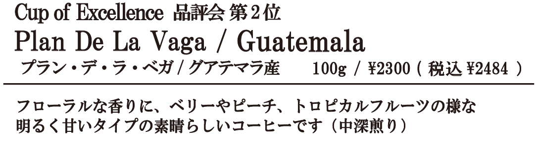 プラン・デ・ラ・ベガ