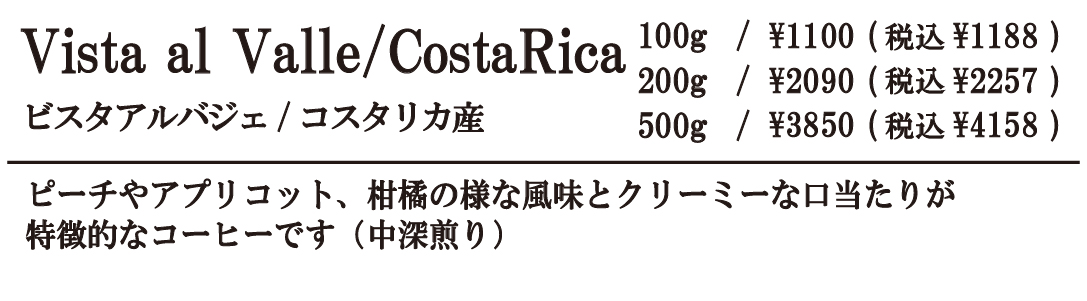 ビスタアルバジェ