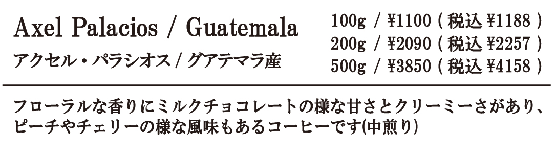 アクセル・パラシオス