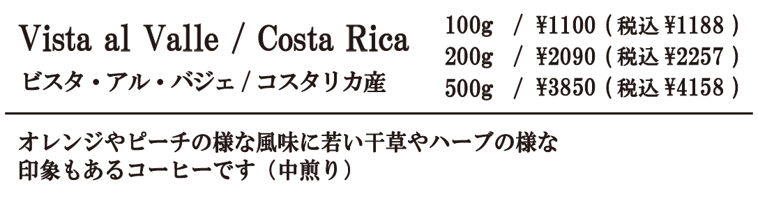 ビスタ・アル・バジェ